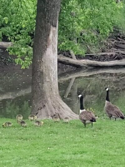 Unami Creek Park - Green Lane, PA