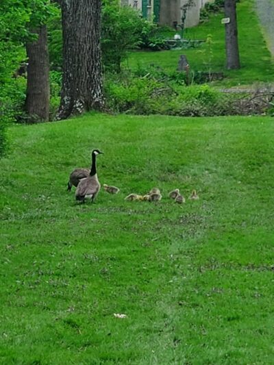 Unami Creek Park - Green Lane, PA