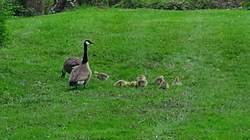 Unami Creek Park - Green Lane, PA
