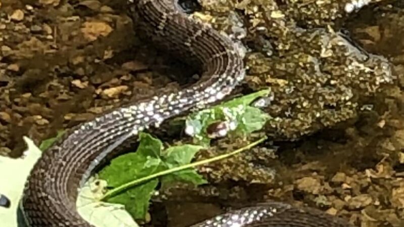 Unami Creek Park - Green Lane, PA