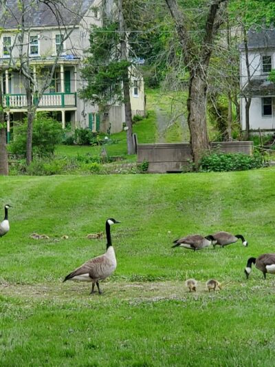 Unami Creek Park - Green Lane, PA