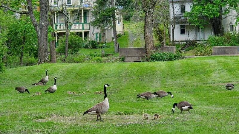 Unami Creek Park - Green Lane, PA