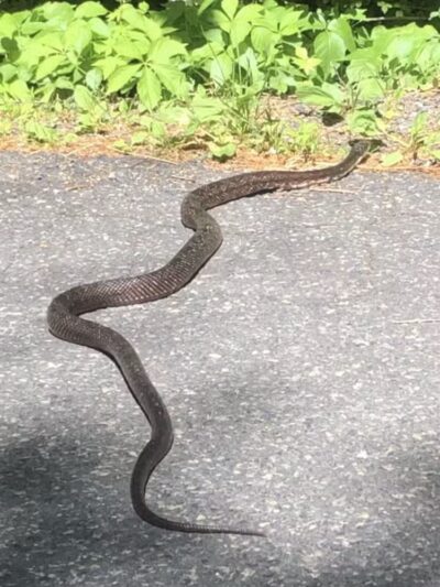Unami Creek Park - Green Lane, PA