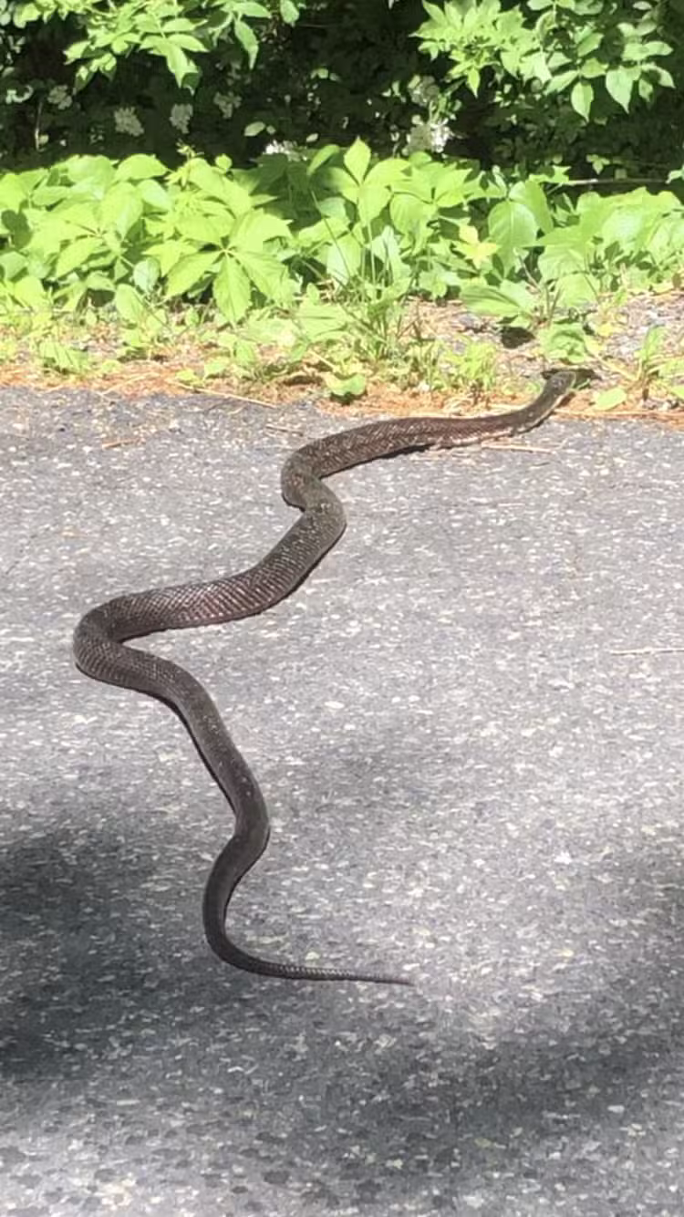 Unami Creek Park - Green Lane, PA