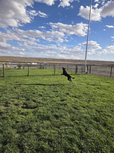 Dog Park at Love's Travel Stops - Green River, UT