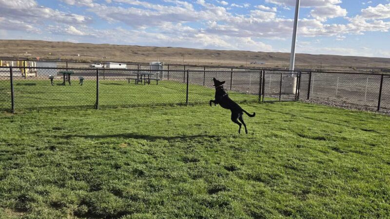 Dog Park at Love's Travel Stops - Green River, UT