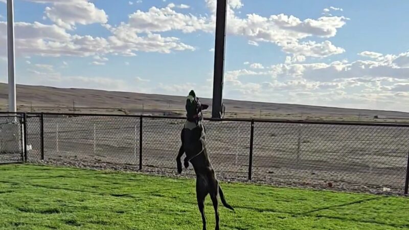 Dog Park at Love's Travel Stops - Green River, UT