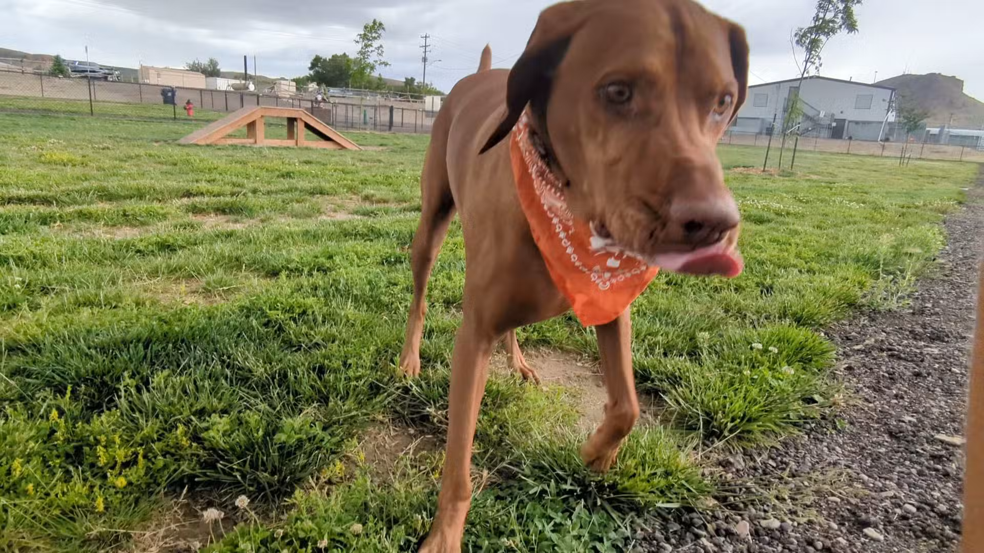 City of Green River Dog Park - Green River, WY
