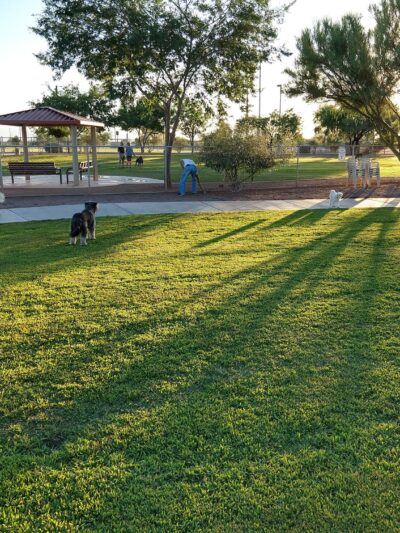 Quail Creek Dog Park - Green Valley, AZ