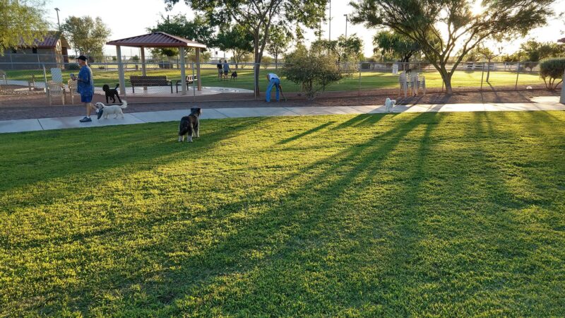 Quail Creek Dog Park - Green Valley, AZ