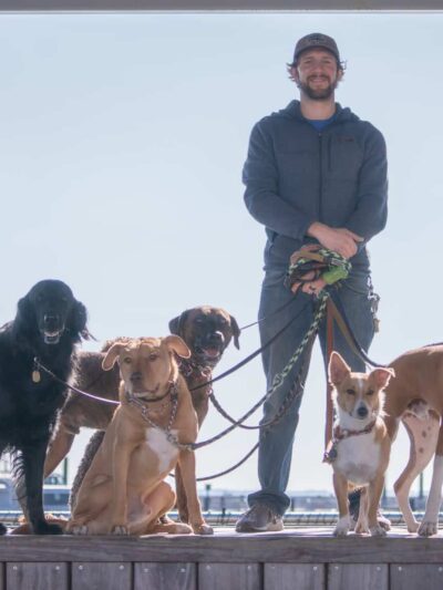 Lucky Dog Pack Walks - Green Village, NJ