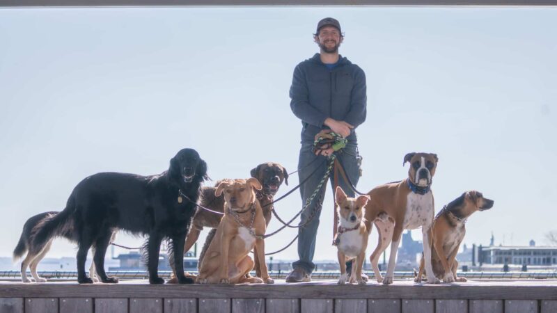 Lucky Dog Pack Walks - Green Village, NJ