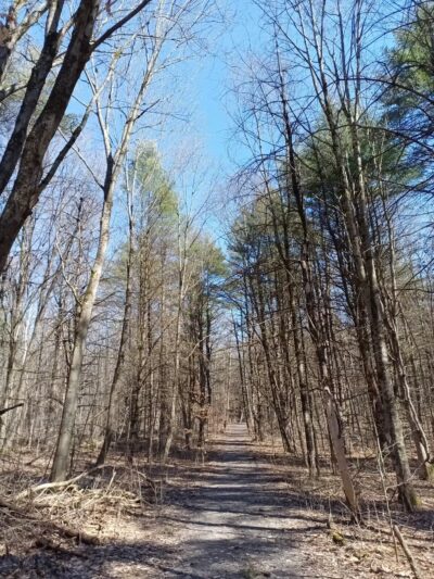 Greenfield Center Park - Greenfield Center, NY