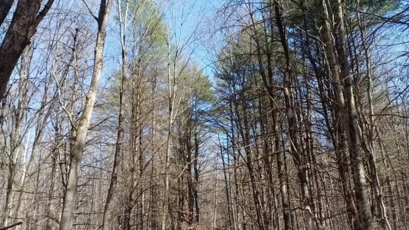 Greenfield Center Park - Greenfield Center, NY