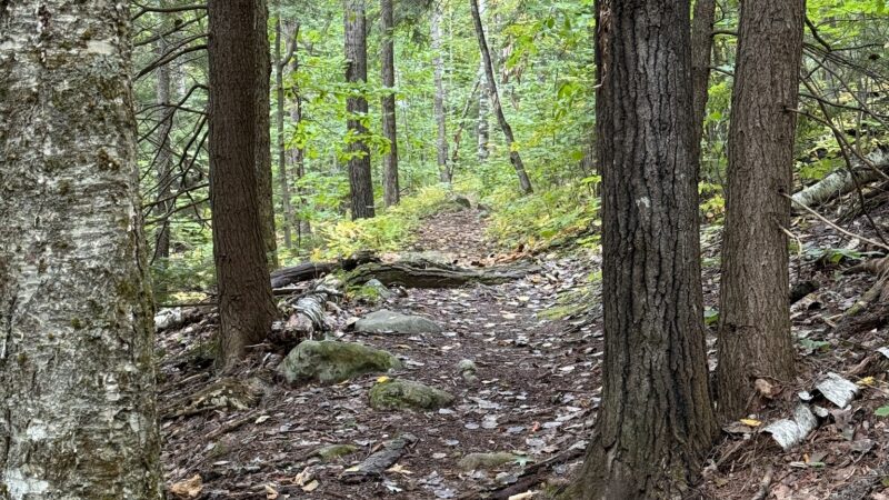 Crotched Mountain Accessible Trails - Greenfield, NH