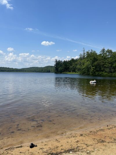 Greenfield State Park - Greenfield, NH