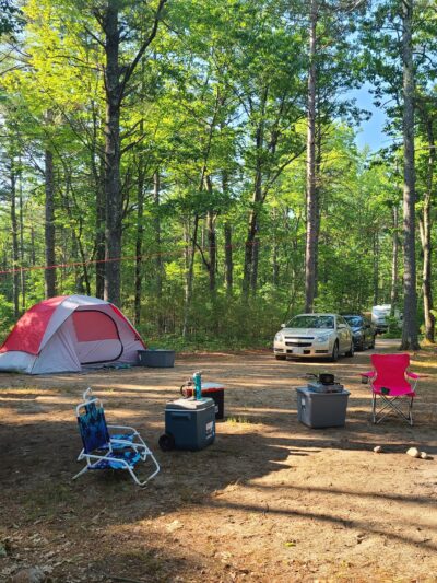 Greenfield State Park - Greenfield, NH