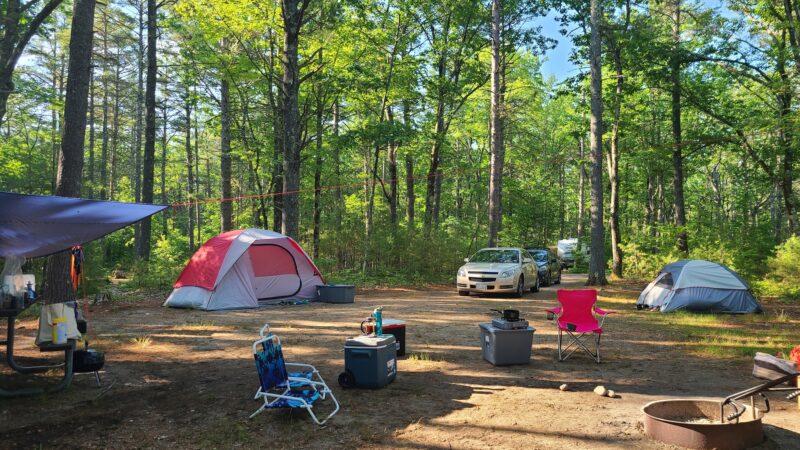 Greenfield State Park - Greenfield, NH