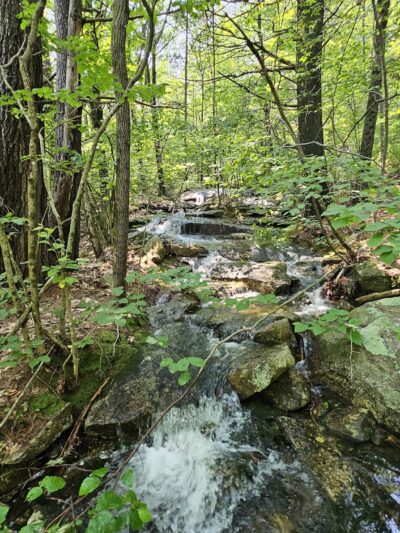 Ted's Trail Trailhead & Parking - Greenfield, NH