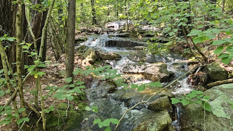 Ted's Trail Trailhead & Parking - Greenfield, NH