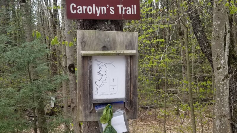 Ted's Trail Trailhead & Parking - Greenfield, NH