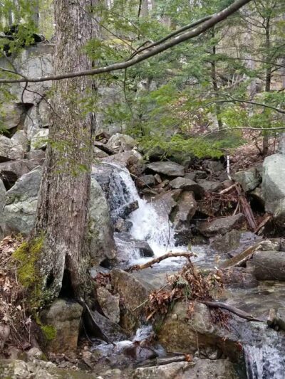 Ted's Trail Trailhead & Parking - Greenfield, NH