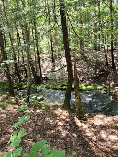 Ted's Trail Trailhead & Parking - Greenfield, NH
