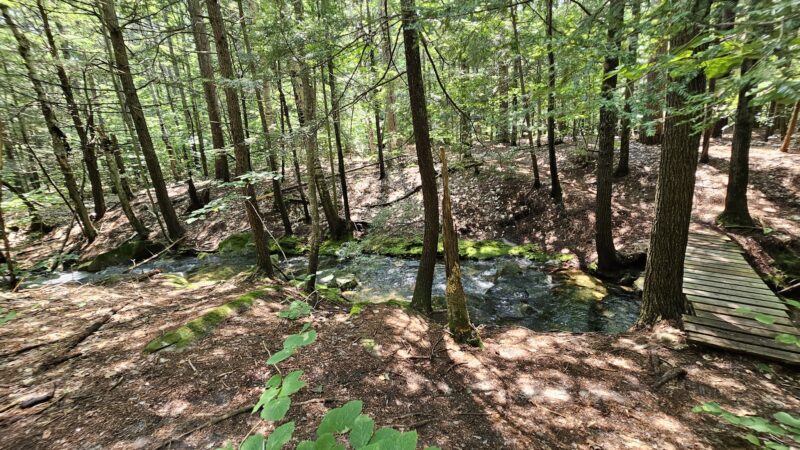 Ted's Trail Trailhead & Parking - Greenfield, NH