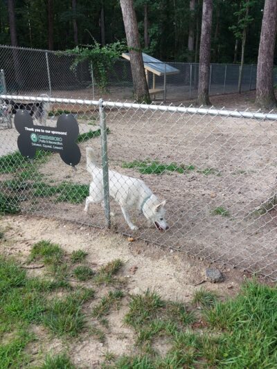 Griffin Dog Park - Greensboro, NC
