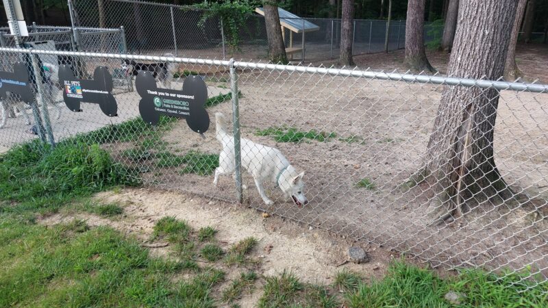 Griffin Dog Park - Greensboro, NC