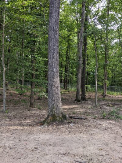 Griffin Dog Park - Greensboro, NC