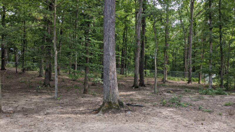 Griffin Dog Park - Greensboro, NC