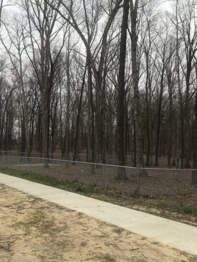 Griffin Dog Park - Greensboro, NC