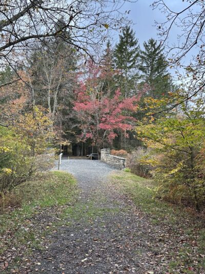 Conservation Island Trail - Greentown, PA