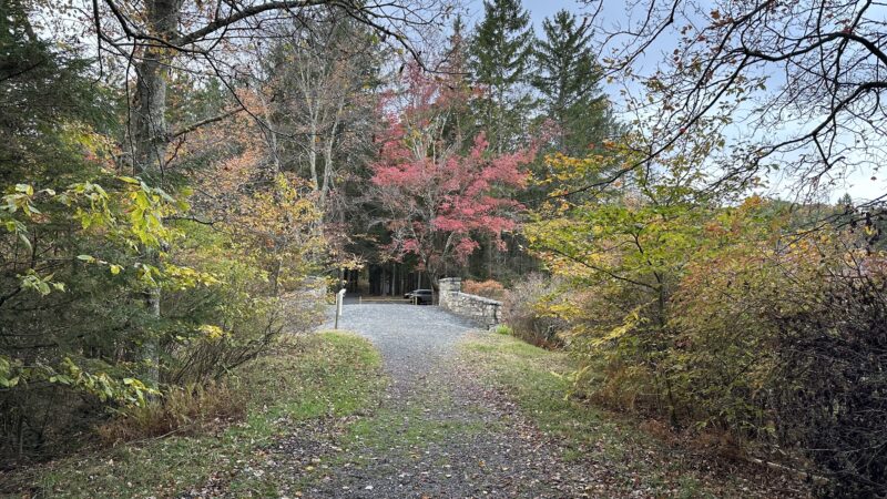 Conservation Island Trail - Greentown, PA