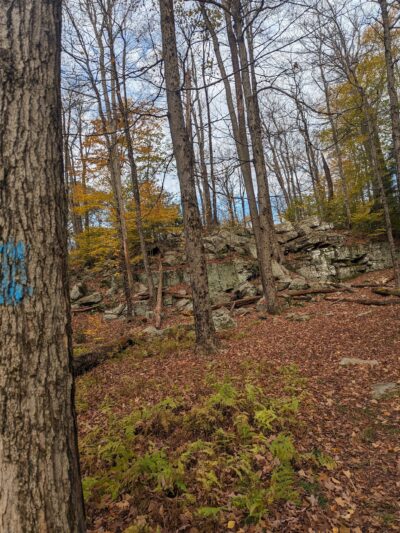Conservation Island Trail - Greentown, PA