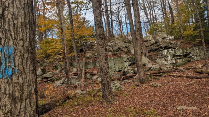 Conservation Island Trail - Greentown, PA