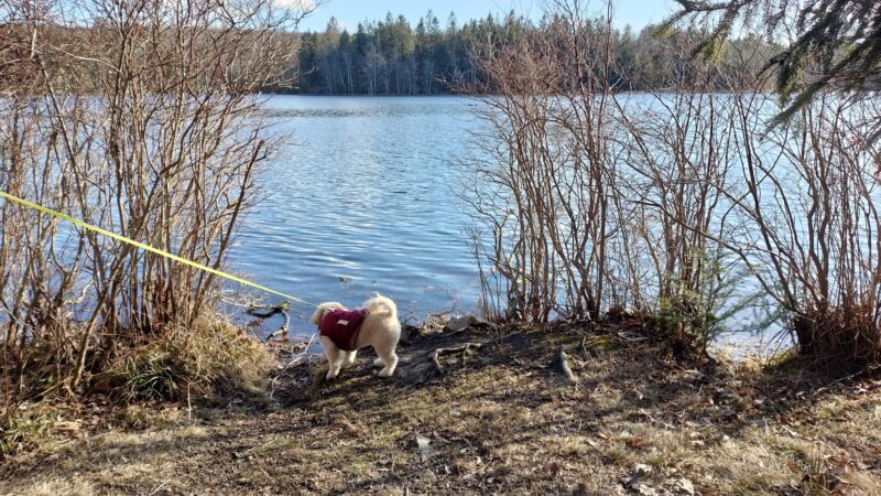 Conservation Island Trail - Greentown, PA