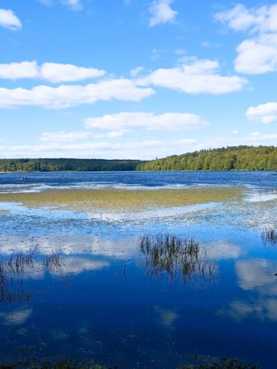 Conservation Island Trail - Greentown, PA