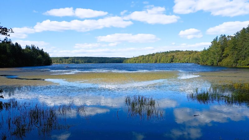 Conservation Island Trail - Greentown, PA