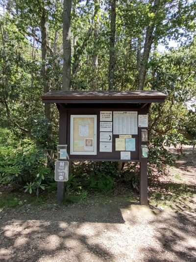 Conservation Island Trail - Greentown, PA