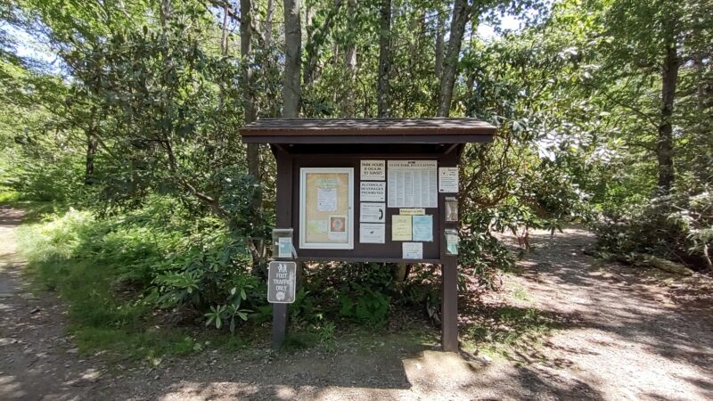 Conservation Island Trail - Greentown, PA