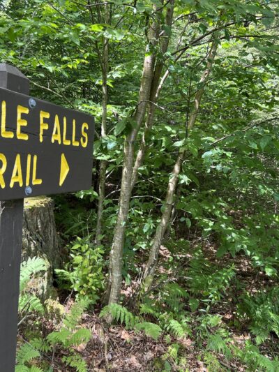 Little Falls Trail - Greentown, PA