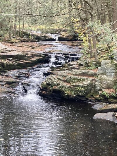 Little Falls Trail - Greentown, PA