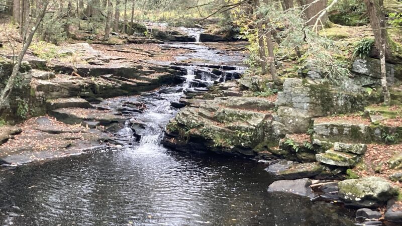 Little Falls Trail - Greentown, PA