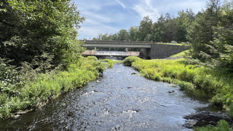 Little Falls Trail - Greentown, PA