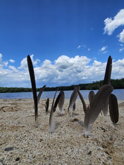 Pickerel Point Beach - Greentown, PA