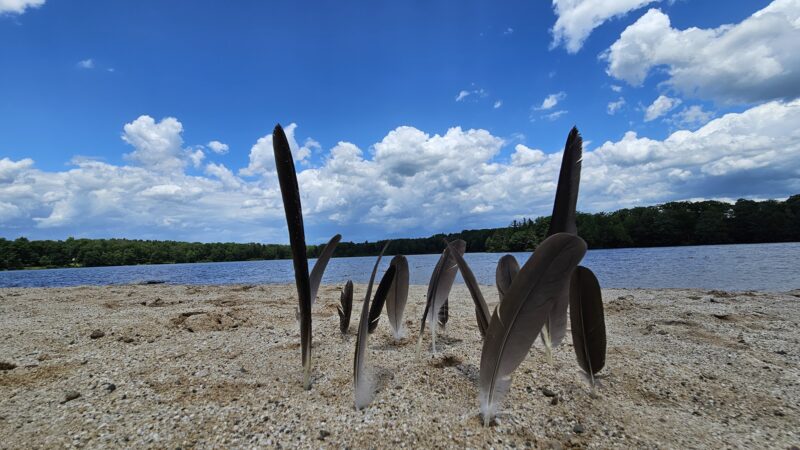 Pickerel Point Beach - Greentown, PA