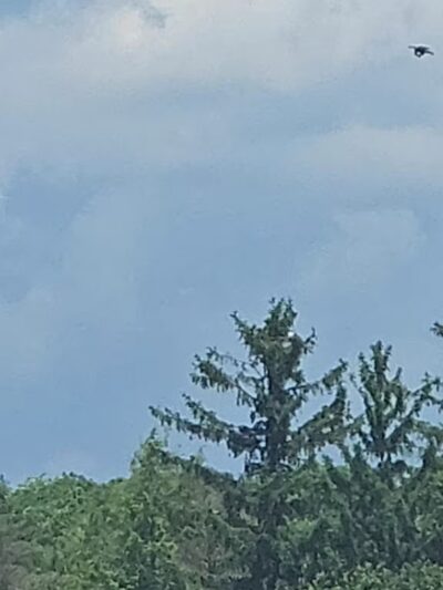 Pickerel Point Beach - Greentown, PA