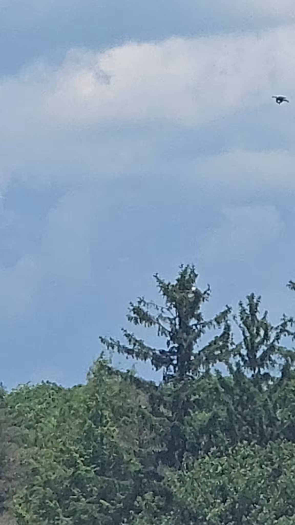 Pickerel Point Beach - Greentown, PA